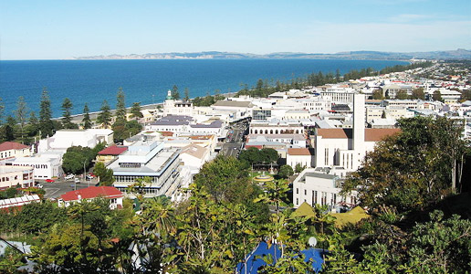 Moving companies in Napier